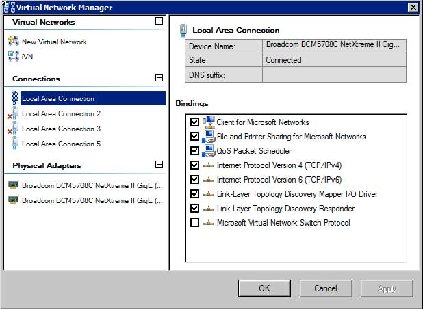 ThinApped vSphere Client login