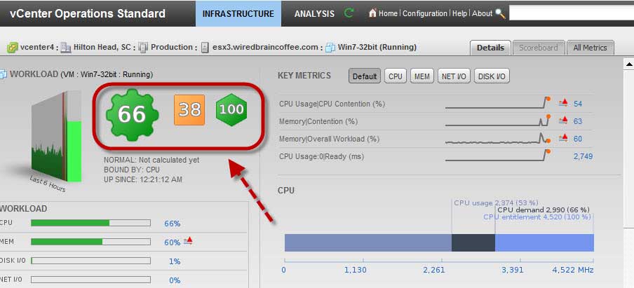 Workload, Health and Capacity indicators in vCenter Operations interface